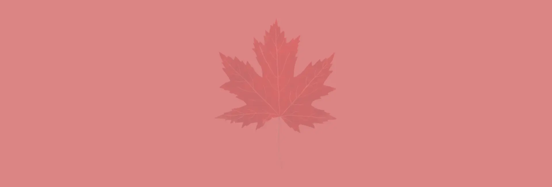Back banner-content